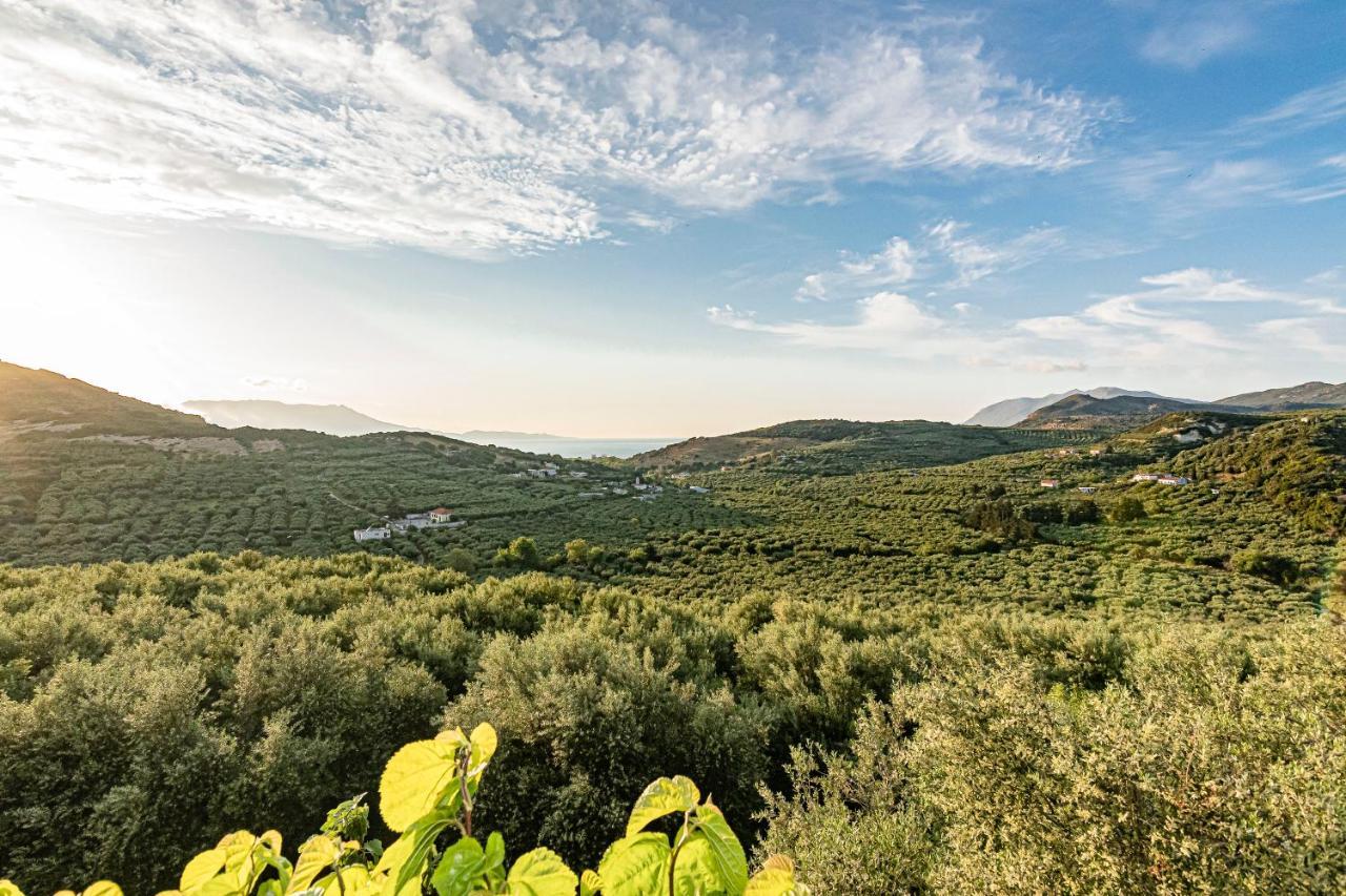 Rikanthos Stone Sea View Apartment Ι Faleliana Bagian luar foto